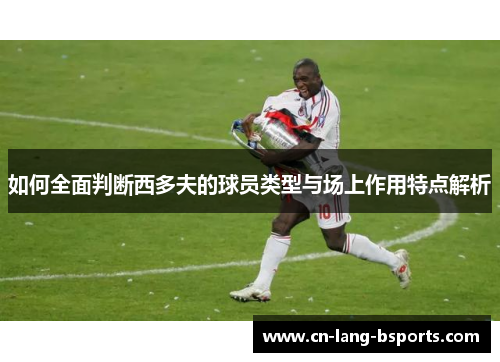 如何全面判断西多夫的球员类型与场上作用特点解析