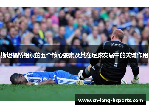 斯坦福桥组织的五个核心要素及其在足球发展中的关键作用