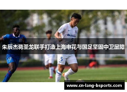 朱辰杰蒋圣龙联手打造上海申花与国足坚固中卫屏障